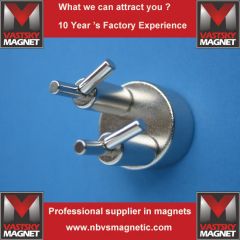 Sintered neodymium magnet