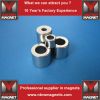 Ring ndfeb magnet